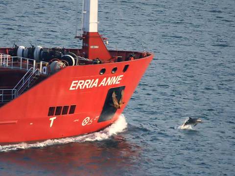 9 Tanker Siparişini İptal Etti