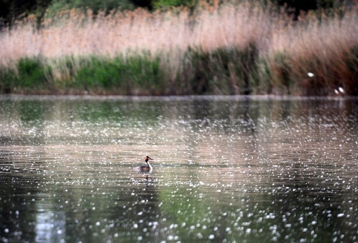 Eymir Gölü'nde Bahar Manzaraları