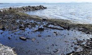 Aliağa'da söküme gelen gemiler çarpıştı!