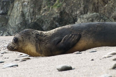 Mavi Sularla Buluşturuldu