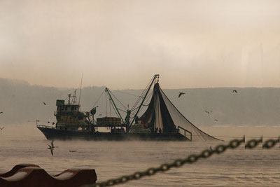 Trolcünün teknesine 'hapis' geliyor