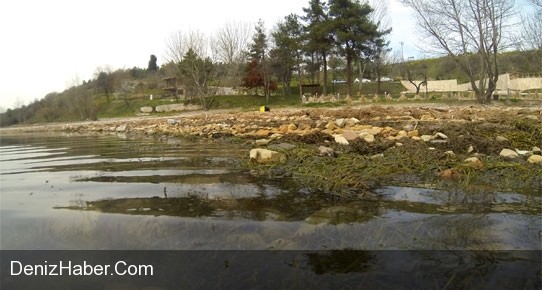TEMA Vakfı Gölde İncelemelerde Bulundu