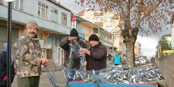 Bbalıkçılar 1 Ton İstavrit Balığı Yakaladı