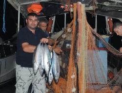 Torik Akını Foçalı Balıkçıların Yüzünü Güldürdü