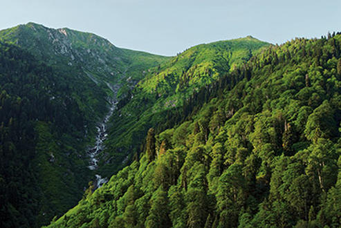 Karadeniz, Habu Halun Nedur?