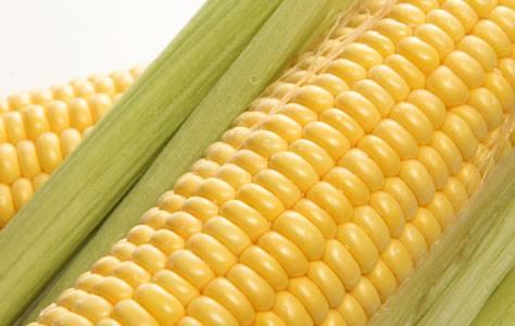 GDO Resmen Masamızda