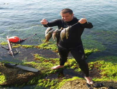 Gelibolu'da 'Zıpkınla Balık Avlama' Yarışması Düzenlendi