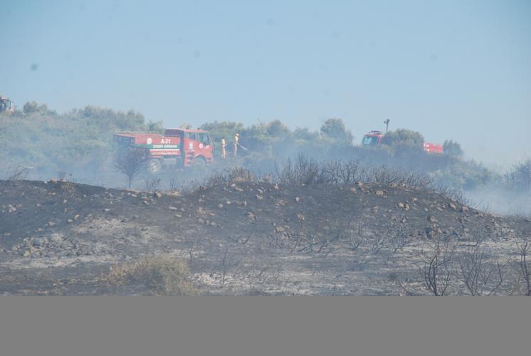 2010 Yılı İçinde 211 Gemi Satın Aldı