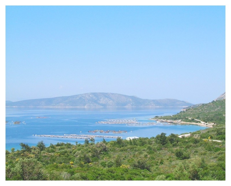 Deniz kirliliğine karşı bir oldular