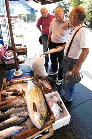Marmara da balık kalmayacak
