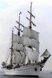 Şüpheli ölüm komutanı yedi