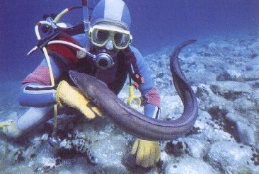 Saros Körfezi&#039;ne sualtı müzesi