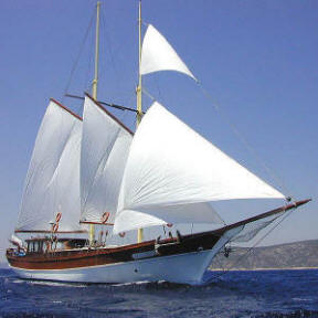 Türk guletleri Alman basınında