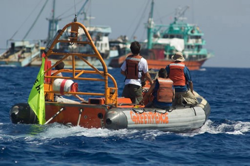 Hiçbir Saldırı Vazgeçiremez