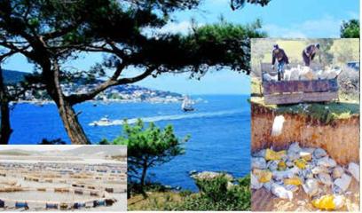 Güllük Körfezi Perişan Halde