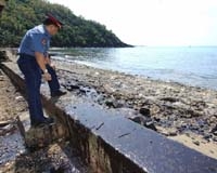 Petrol temizlemeye 5.600 kişi