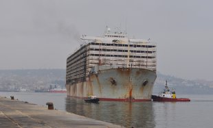 Akport Limanı'na 22 bin angus