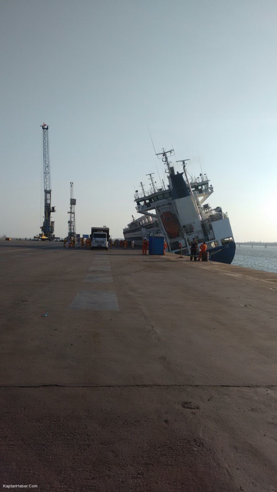 Gemi Alabora Oldu, 5 Bin Büyükbaş Hayvan Öldü