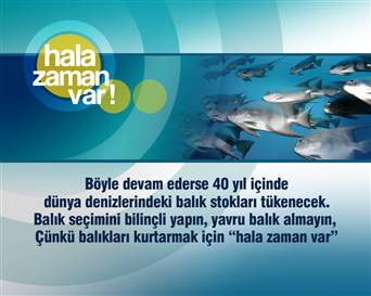 NTV Yavru Balıklara Sahip Çıkıyor