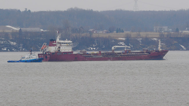 Türk Tankeri &quot;Halit Bey&quot; Kanada&#039;da Karaya Oturdu