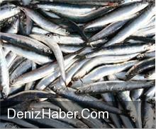 Erken Başladı Erken Bitti