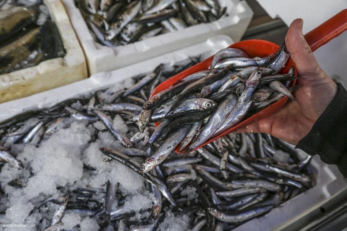 Karadeniz hamsisinin lezzeti de fiyatı da arttı