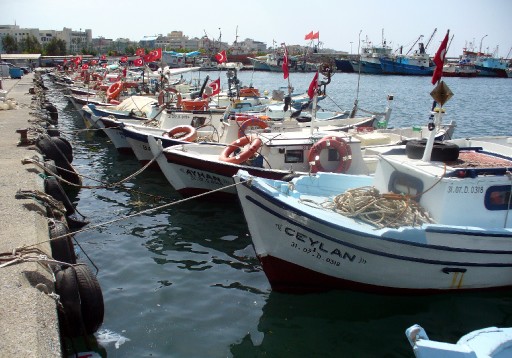 Körfez balıkçısı sektörden umudu kesti