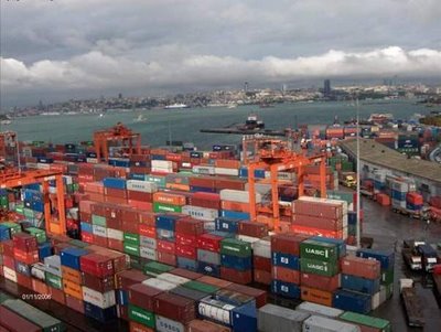 Japon mallarına radyasyon kontrolü