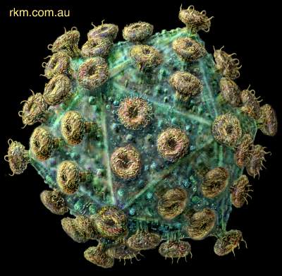 HIV Virüsü 25 Yaşına Bastı