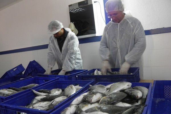 İçdaş Çupraları Avrupa Sofrasında