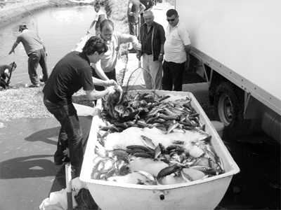 İÇDAŞ, İSO 500&#039;de Sekizinci Sıraya Yükseldi