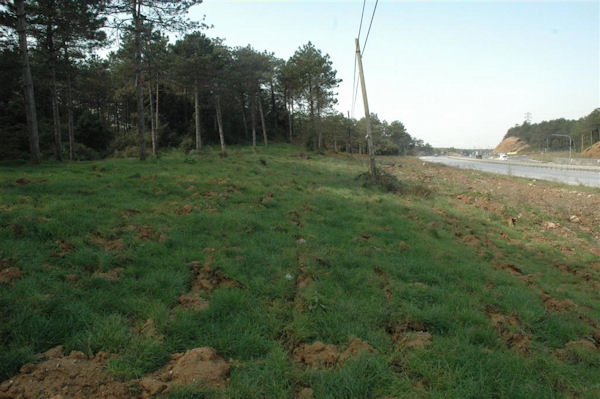 İDO’dan Doğayı Korumaya "Yeşil Adım"