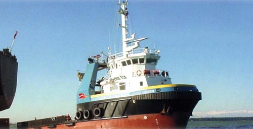 Boğaz Geçişinde Üzücü Kaza