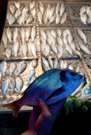 İftar&#039;da Balık Yemek Çok Yararlı