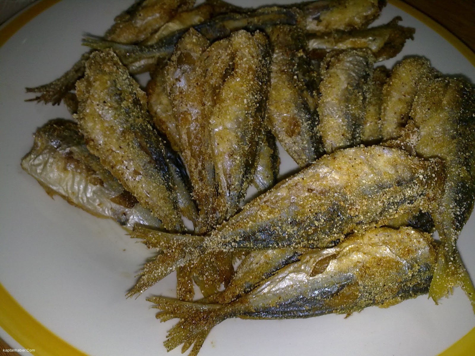 Balıkçılar istavrite 3 sezondur hasret kaldı