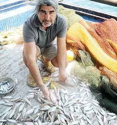 ODTÜ’den balık istilasına önlem