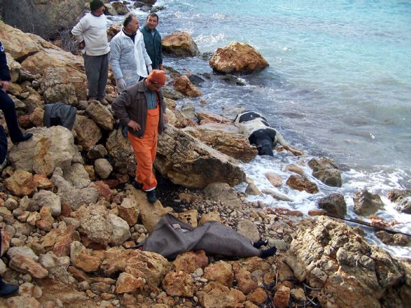 Tekne faciasında 7 gözaltı