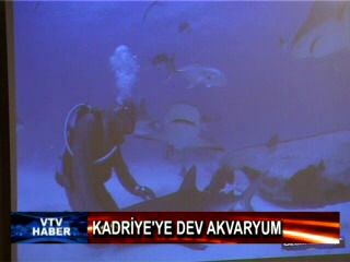 Kadriye&#039;ye Dev Akvaryum