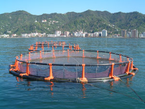 Fishfarm Projesi AB Tarafından Kabul Edildi