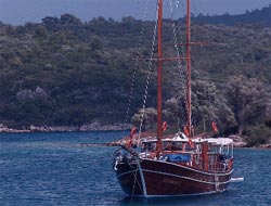 Milletvekillerinin Kaptan Olma Aşkı