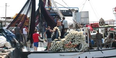 Karadeniz'de Av Yasağı Başladı