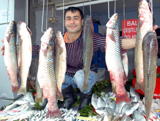 Samsun'da Kefal Bereketi Yaşanıyor