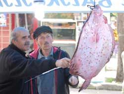 Karadeniz'de 10 Kilogramlık Kalkan Bereketi