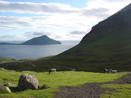 Bu Issız Adada Yalnızca Bir Çift Yaşıyor