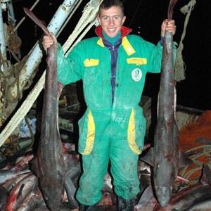 Barbuna niyet Jaws'a kısmet