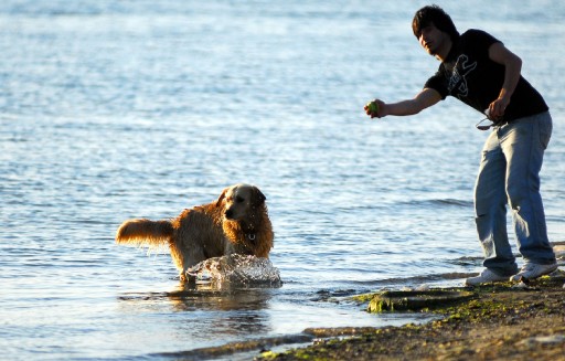 Sahilde Köpekle Keyf Başka