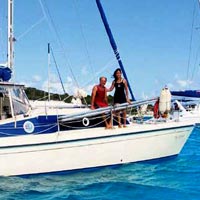 Korsanlar Saldırdı Balina Çarptı