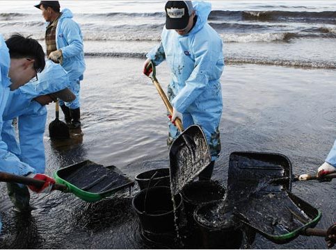 Sorumlu Denizciler ve Armatör