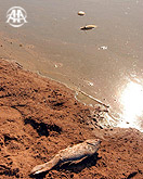 "Farkındamısınız? Kuruyoruz" Günü.