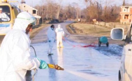 Sakarya ve Samsun&#039;da Kuş Gribi